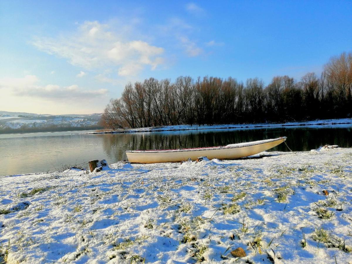 Villa Danube Fairy Futog Esterno foto