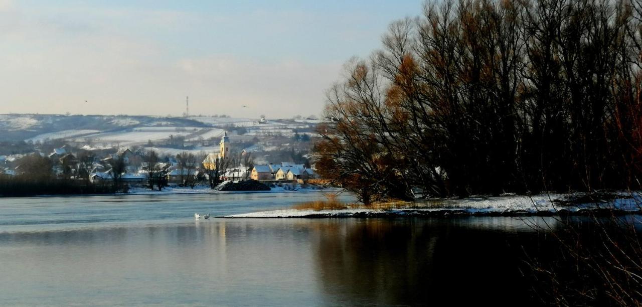 Villa Danube Fairy Futog Esterno foto