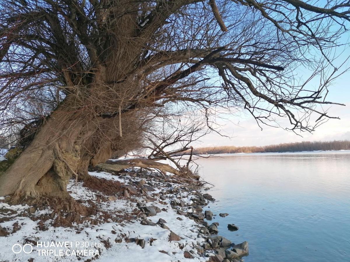 Villa Danube Fairy Futog Esterno foto