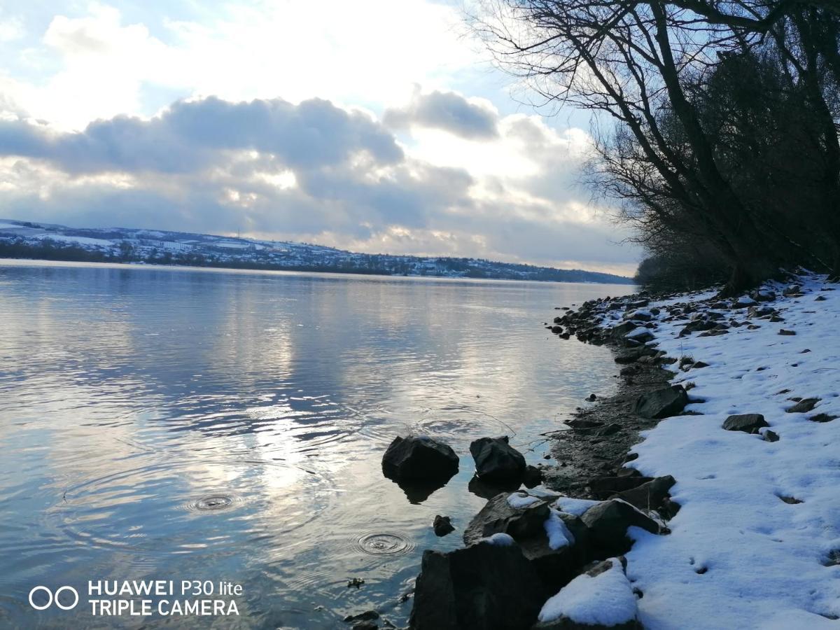 Villa Danube Fairy Futog Esterno foto