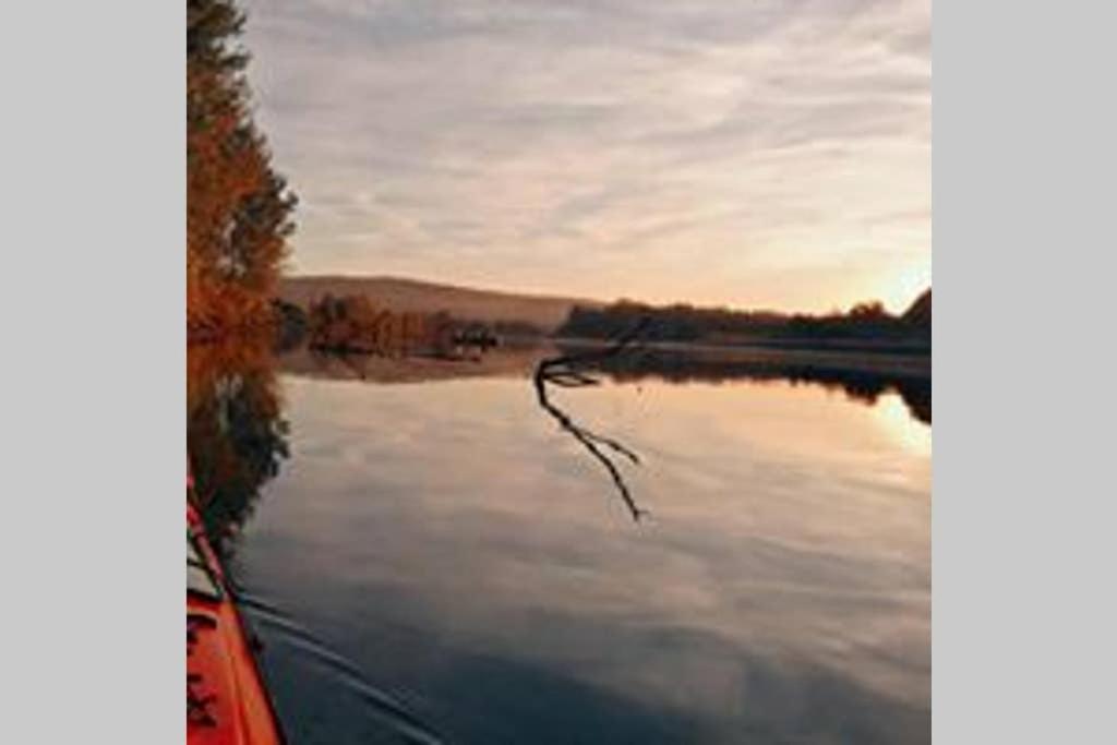 Villa Danube Fairy Futog Esterno foto