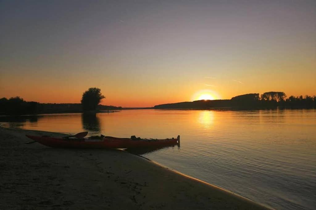 Villa Danube Fairy Futog Esterno foto