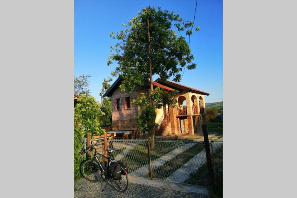 Villa Danube Fairy Futog Esterno foto