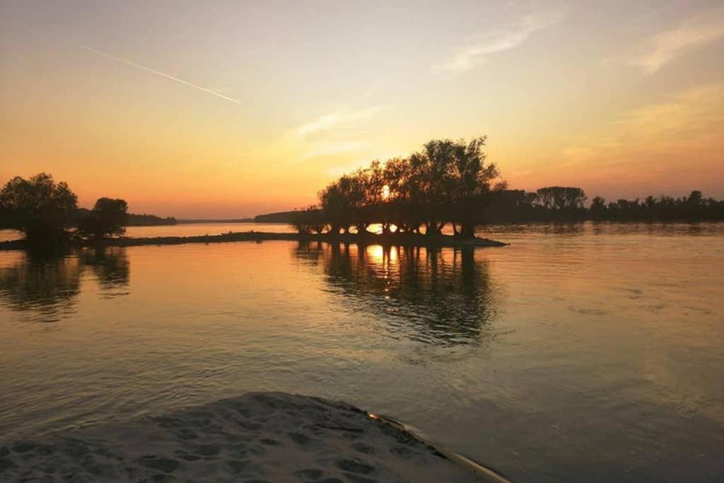 Villa Danube Fairy Futog Esterno foto