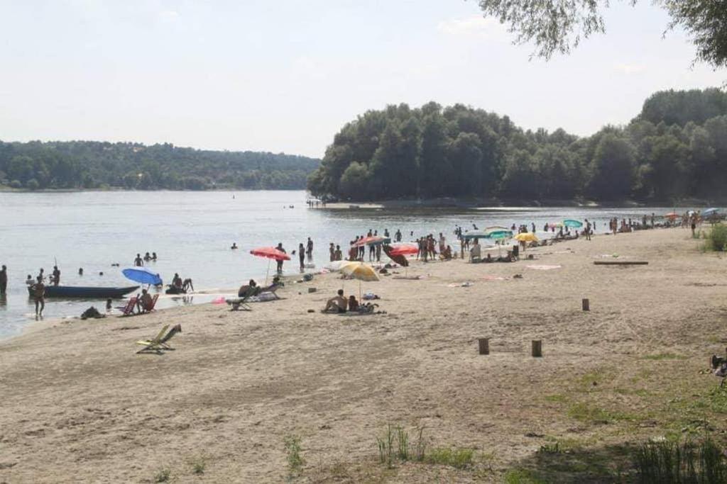 Villa Danube Fairy Futog Esterno foto